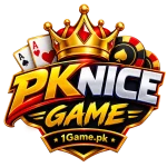 PKNICE Game